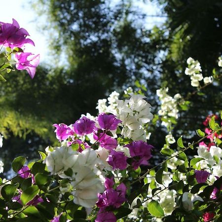 Hotel Secret Garden Chiangmai San Kamphaeng Zewnętrze zdjęcie