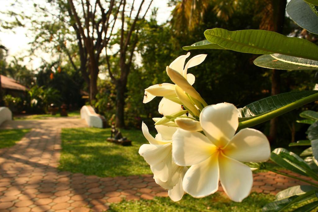 Hotel Secret Garden Chiangmai San Kamphaeng Zewnętrze zdjęcie