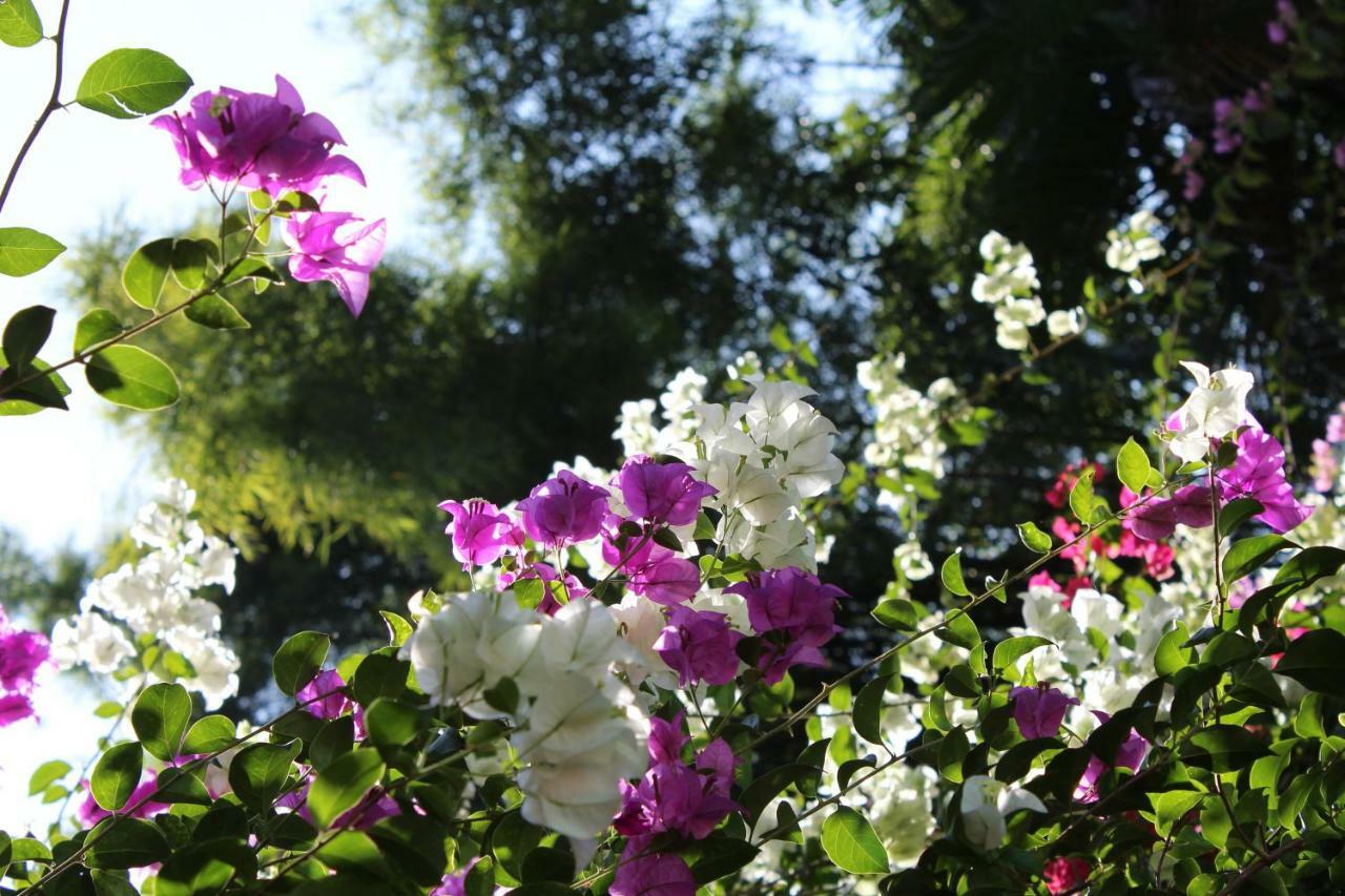 Hotel Secret Garden Chiangmai San Kamphaeng Zewnętrze zdjęcie